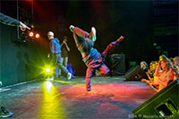Westland Danst