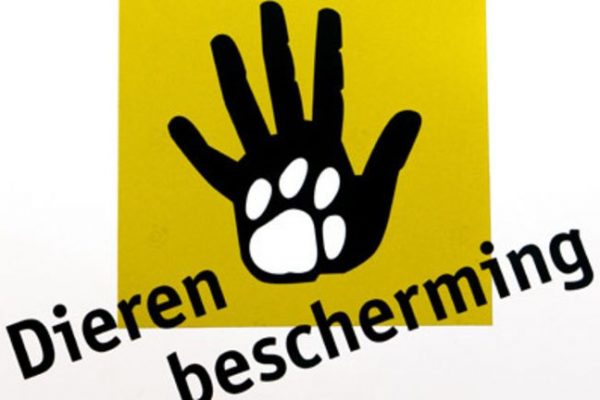 Dierenbescherming Festival