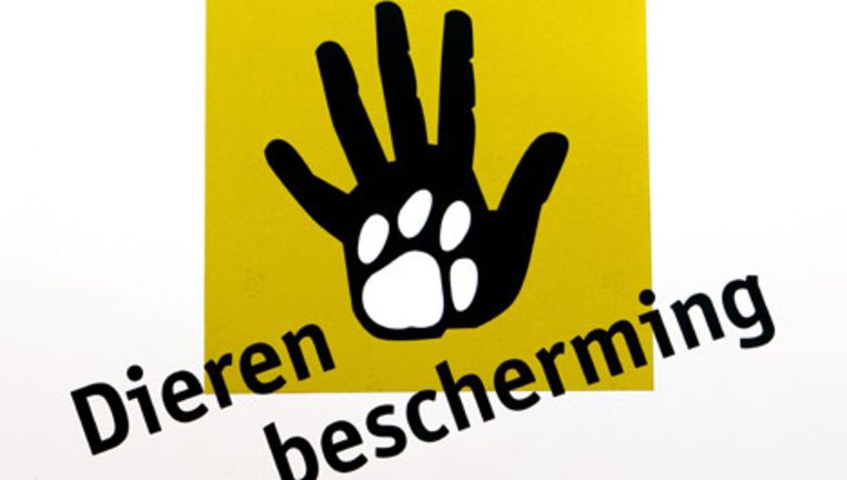 Dierenbescherming Festival